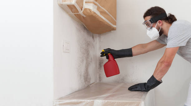 Professional Attic Mold Remediation technician working in Westphalia, MI